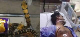 asf inspector snake bite karachi airport