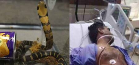 asf inspector snake bite karachi airport