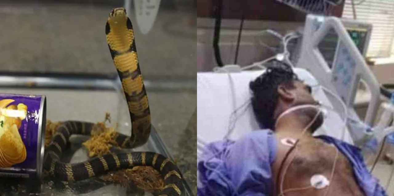 asf inspector snake bite karachi airport