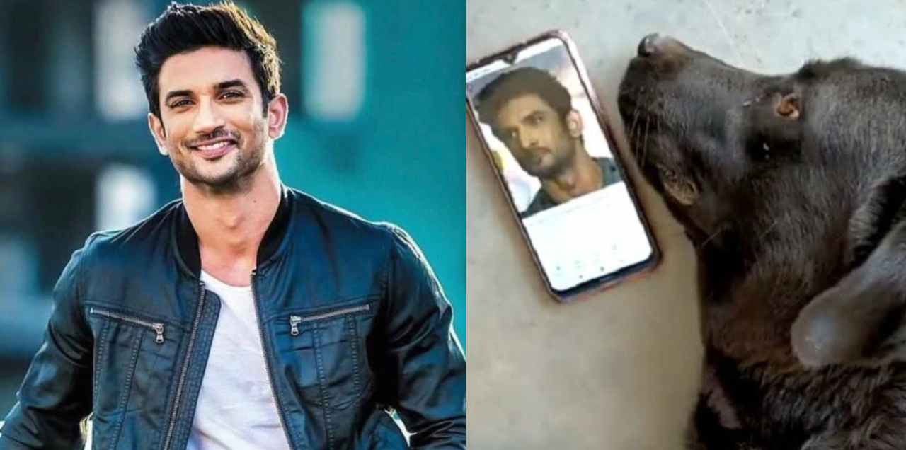 sushant suicide hint