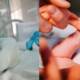 Pakistan worst Infant Mortality control
