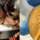 world food program nobel prize