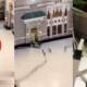 saudi car ram into grand mosque of makkah