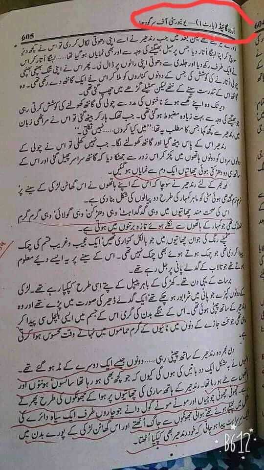 adult text book urdu