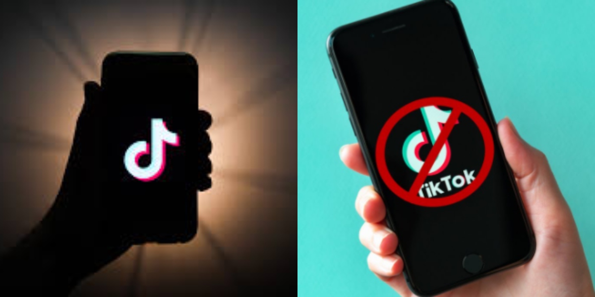 TikTok User threats govt unban