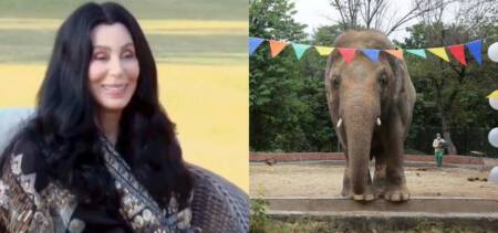 Cher Pakistan Kaavan