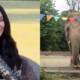Cher Pakistan Kaavan