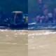 Drowning Soul Leaving Body