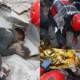 turkey earthquake