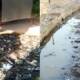 used condoms in gutter
