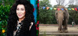 cher kaavan