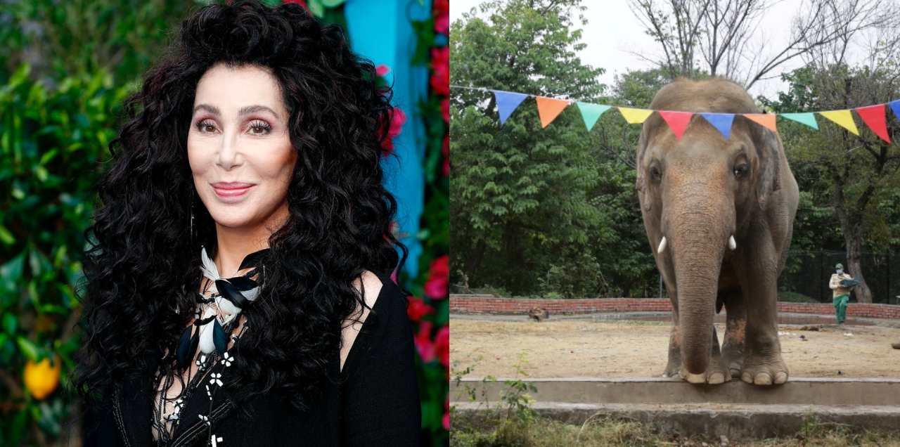 cher kaavan