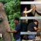 Kaavan