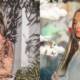 amjad sabri daughter hoorain