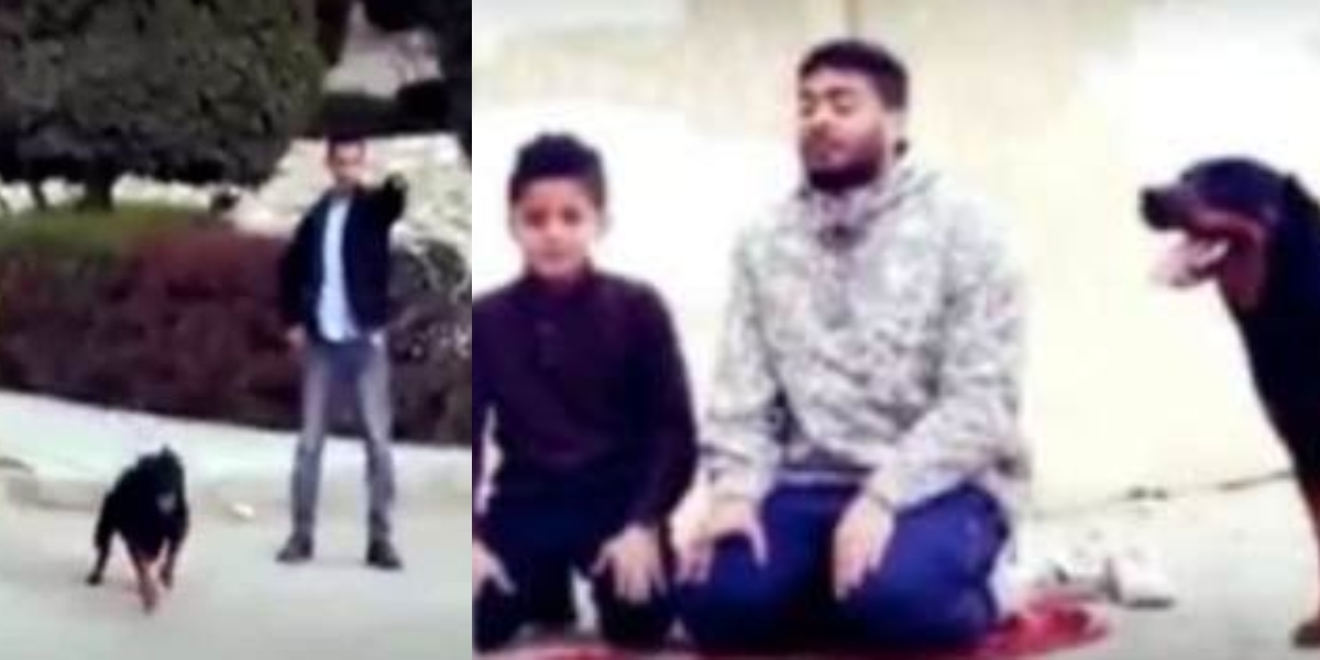 father son Namaz Dog Israeli