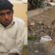 Safdar Disability Gardener