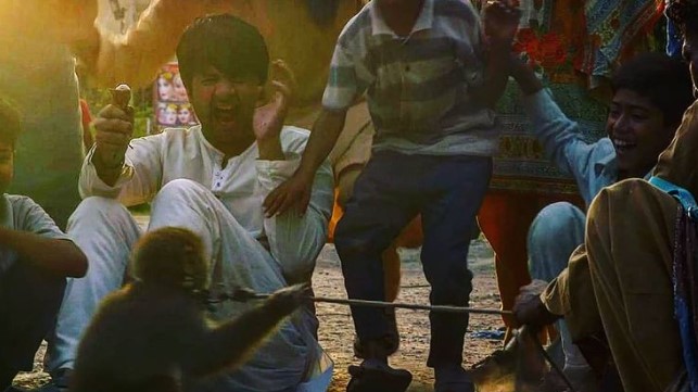 bhola