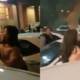 drunk woman assaults police lahore