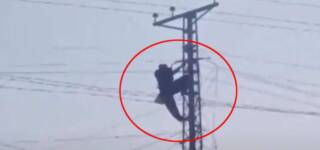 husband climbed electric pole wife khula