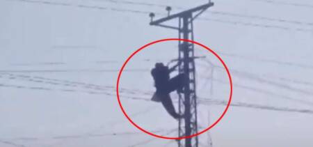 husband climbed electric pole wife khula