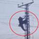 husband climbed electric pole wife khula