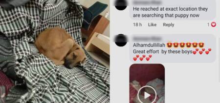 wholesome story