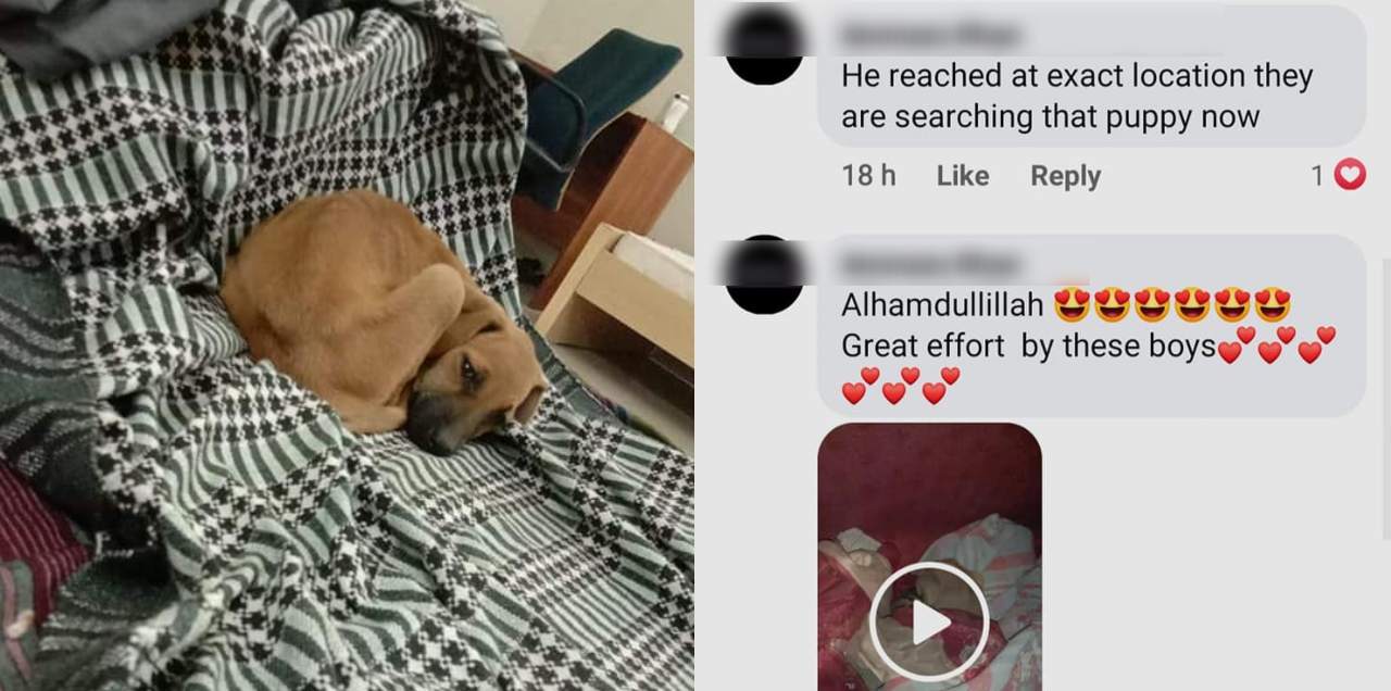wholesome story