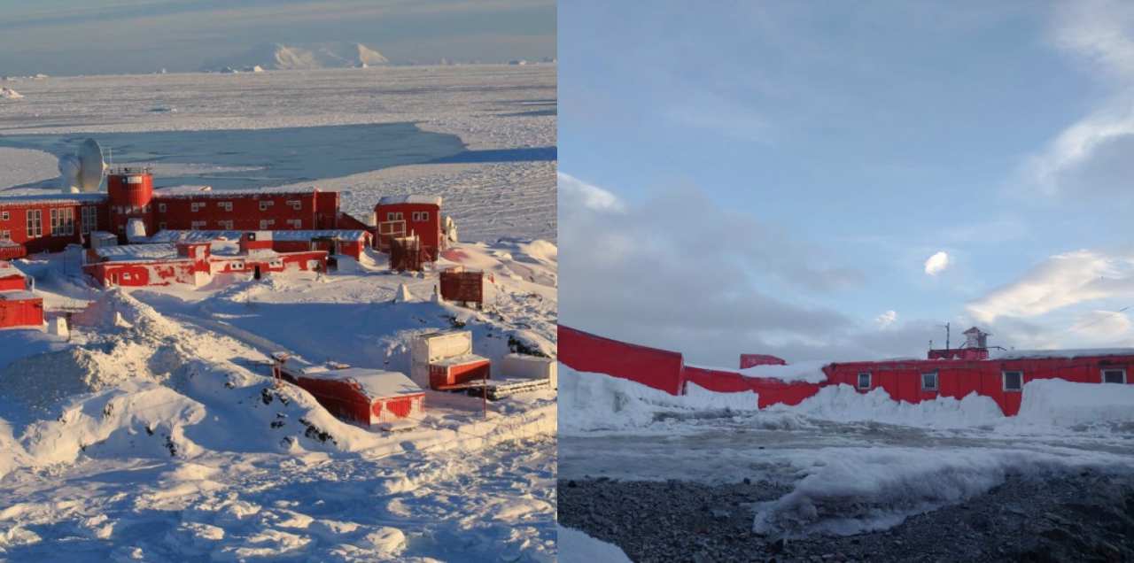 Coronavirus Antarctica