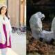 Medical Student KP COVID-19 Pandemic