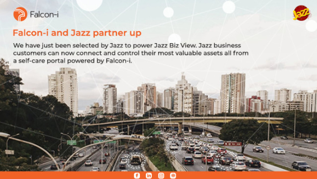 Falcon i Jazz Partner Up