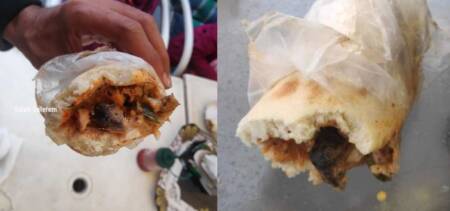 Rat Shawarma