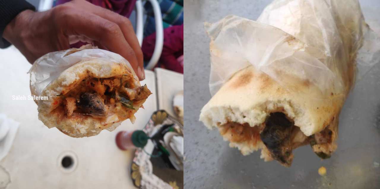 Rat Shawarma