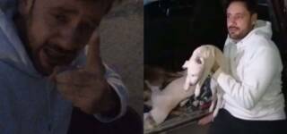 Tipu sharif dogs poisoned