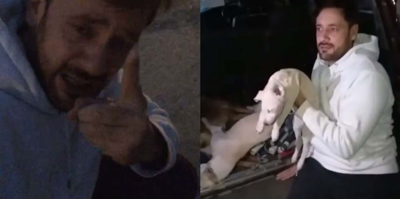 Tipu sharif dogs poisoned