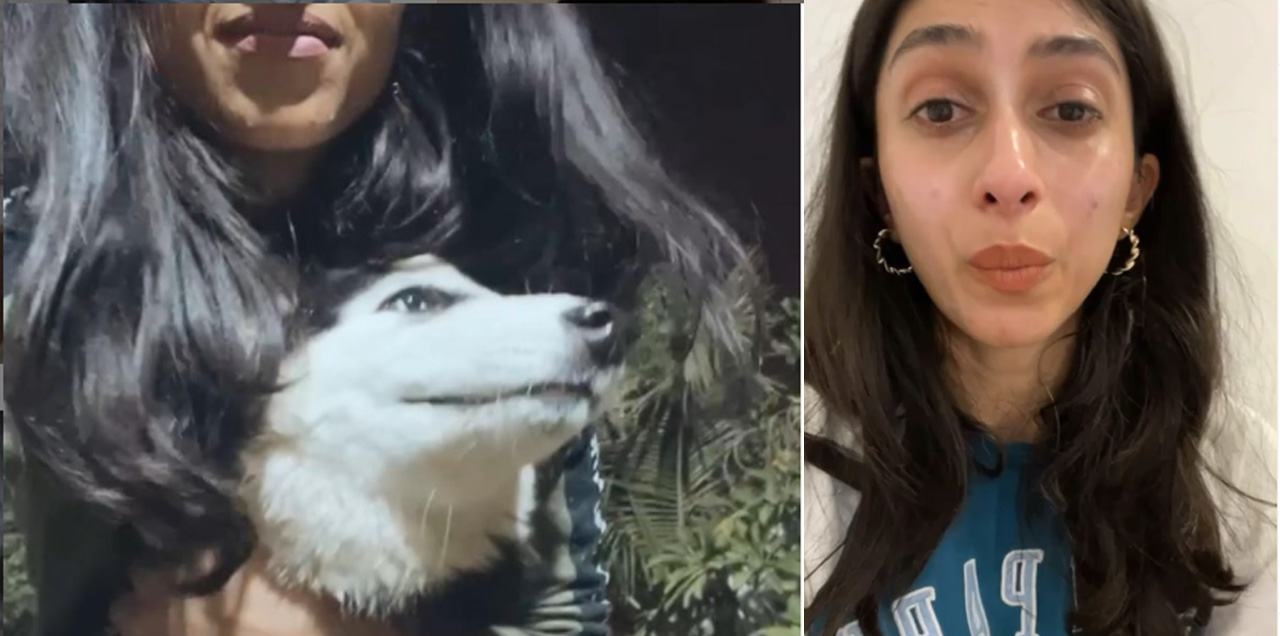 DHA Police Vs Innocent Mehak's Pet Dog-Will She Gets The Justice?