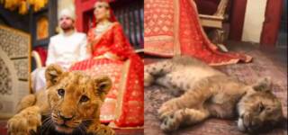 Lahore Cub Prop Wedding Shoot