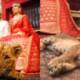 Lahore Cub Prop Wedding Shoot