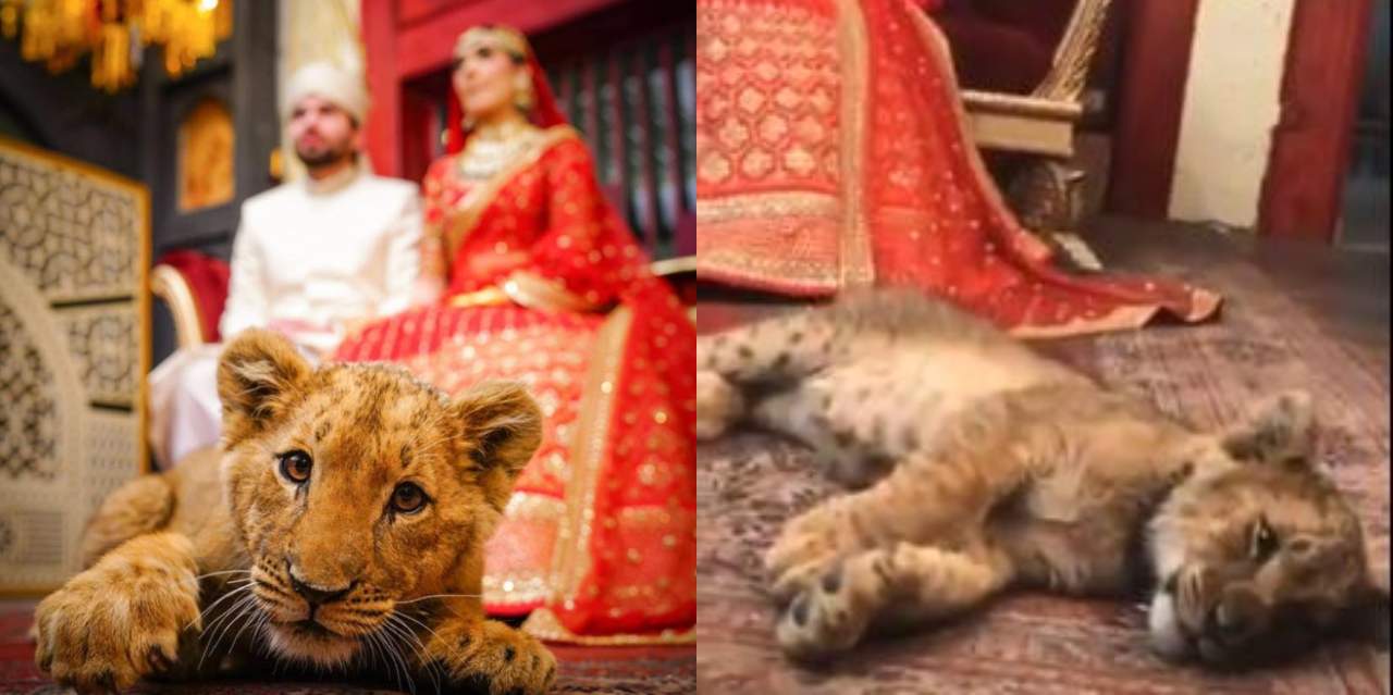 Lahore Cub Prop Wedding Shoot