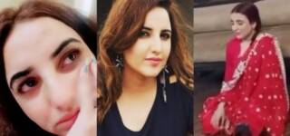 TikTok Star Hareem Shah