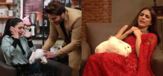 ahsan khan show