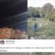 Mango Orchards Have Been Cut By DHA
