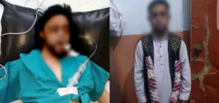 kidney removal