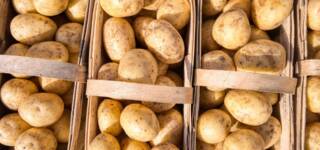 How to Grow Potatoes