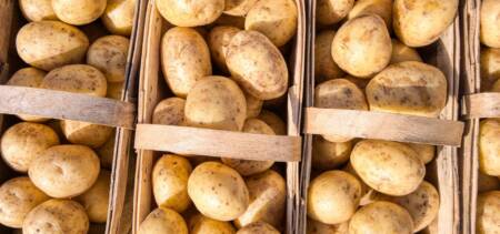 How to Grow Potatoes