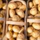 How to Grow Potatoes