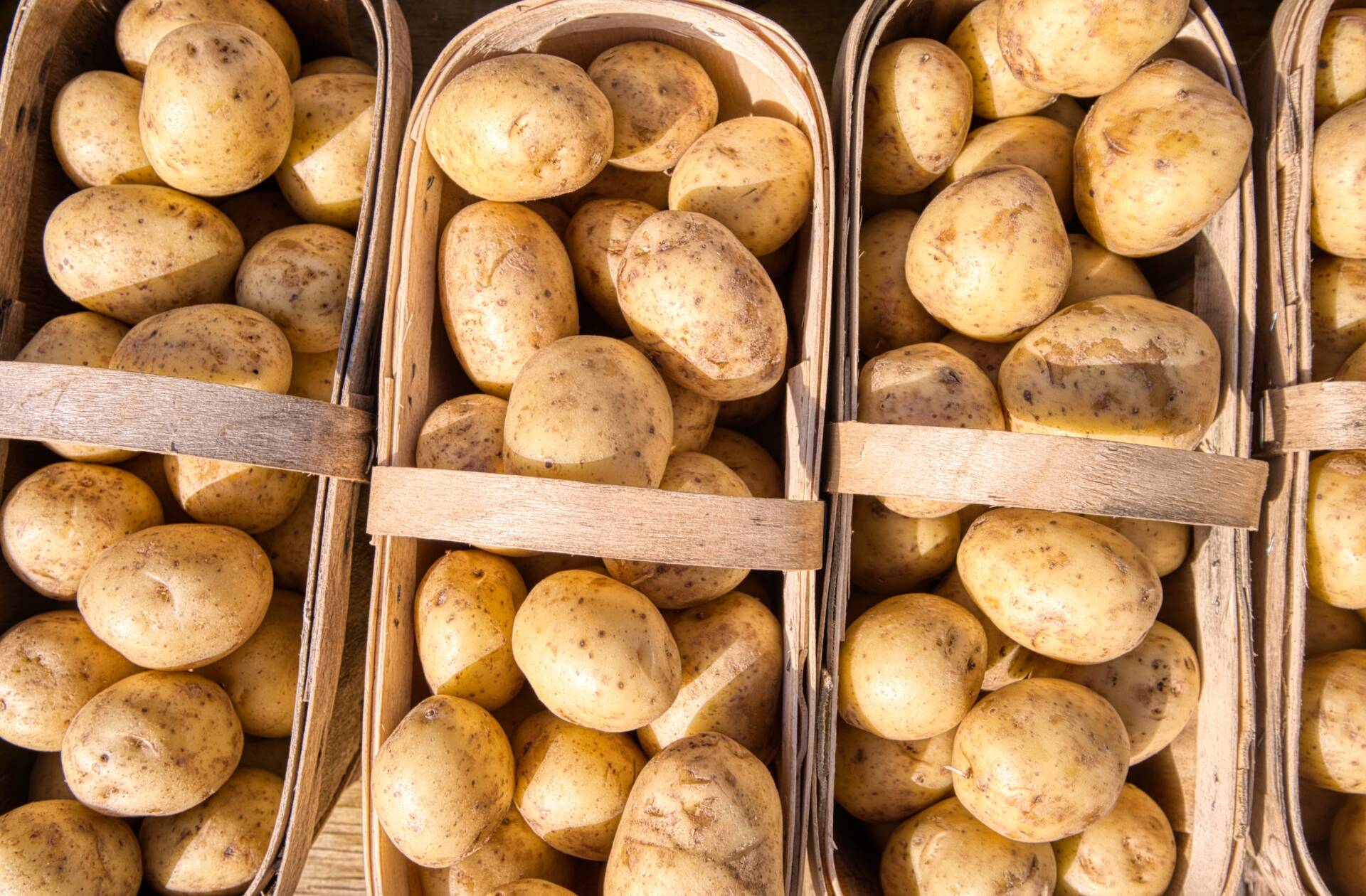 How to Grow Potatoes