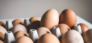 how to tell if eggs are bad