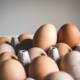 how to tell if eggs are bad