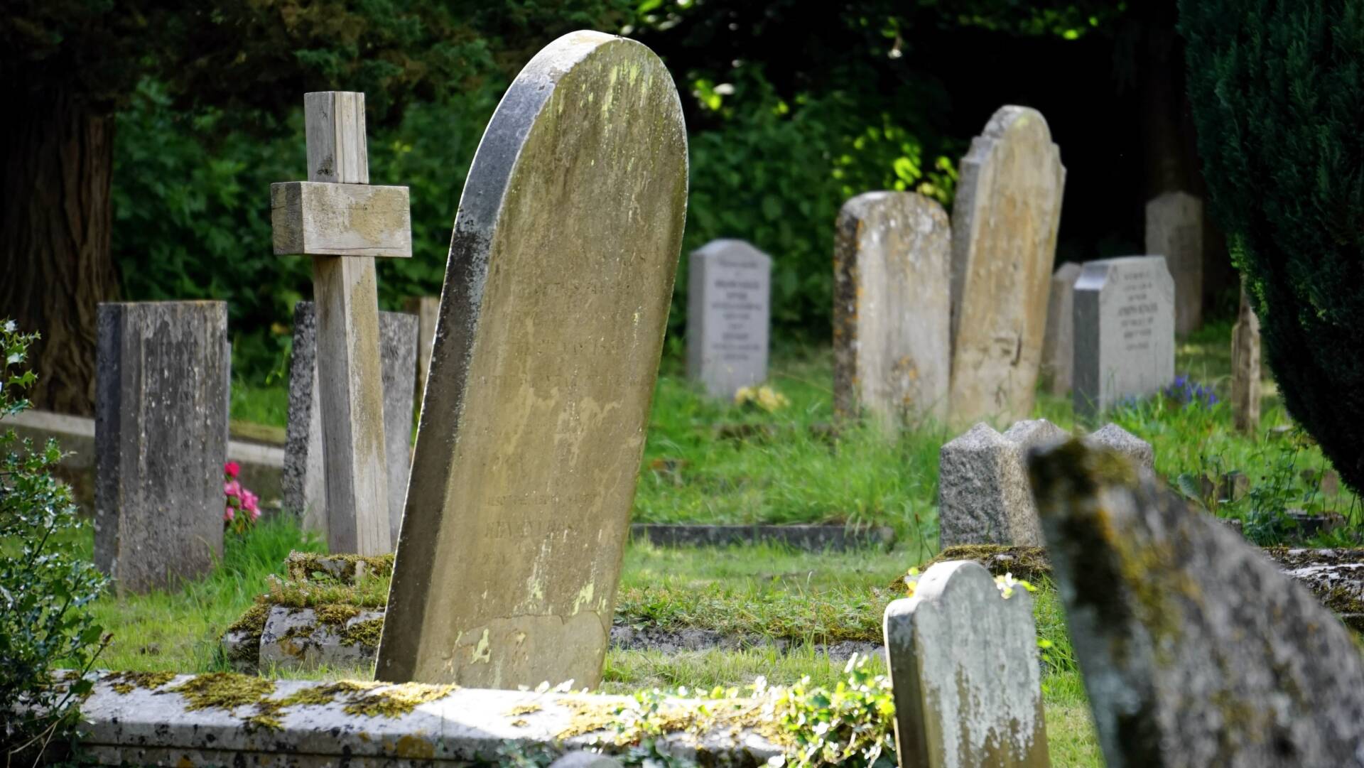 top 10 causes of death