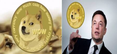dogecoin rise elon musk tweet